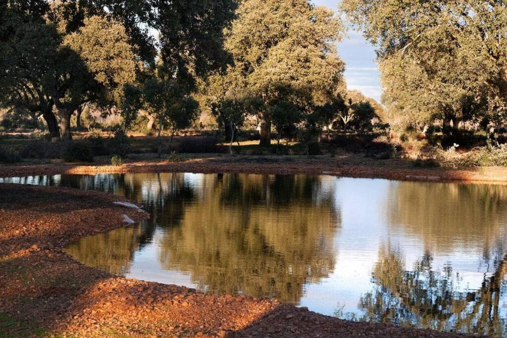 Casa Rural Finca Requejo Cerca De Benavente Tr 49426 Manganeses de la Polvorosa Екстер'єр фото